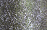 Grovehill fibreglass roof work