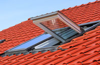 Grovehill roof window